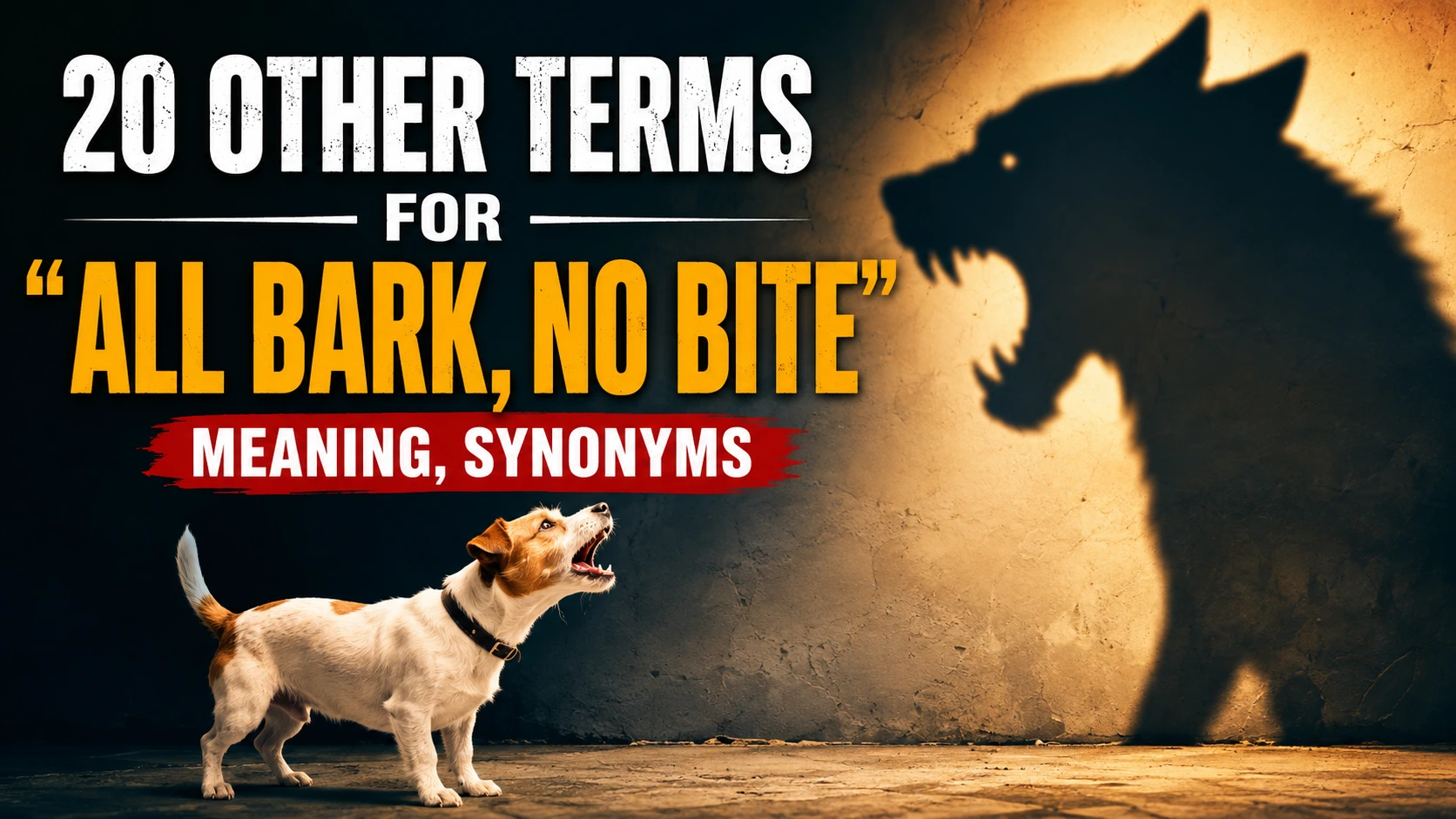 other-terms-for-all-bark-no-bite-with-grammar
